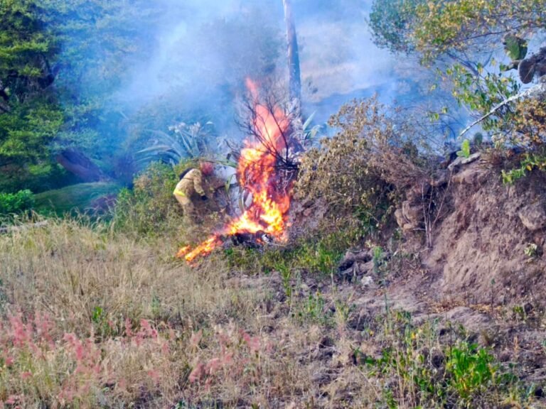 Incendio forestal en el sector La Retama fue controlado oportunamente